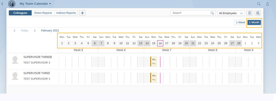 Colleague tab with 1 month button and monthly calendar highlighted